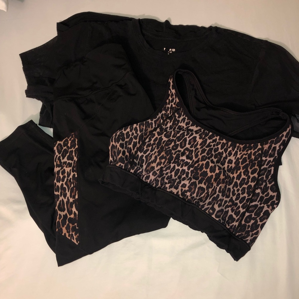 Torrid active set